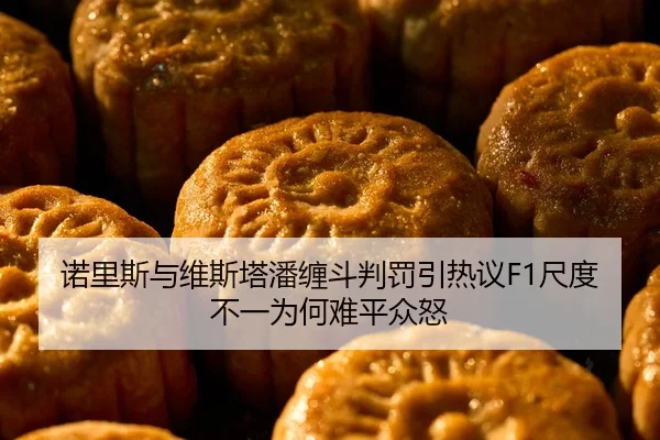 诺里斯与维斯塔潘缠斗判罚引热议F1尺度不一为何难平众怒