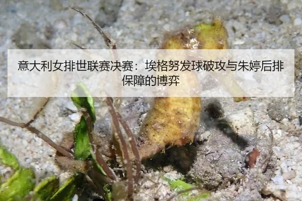 yi-da-li-nv-pai-shi-lian-sai-jue-sai-ai-ge-nu-fa-qiu-po-gong-yu-zhu-ting-hou-pai-bao-zhang-de-bo-yi-2-693.jpg