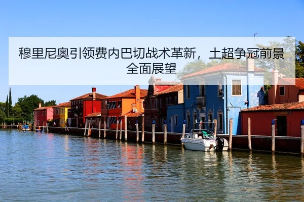 mu-li-ni-ao-yin-ling-fei-nei-ba-qie-zhan-shu-ge-xin-tu-chao-zheng-guan-qian-jing-quan-mian-zhan-wang-3-617.jpg