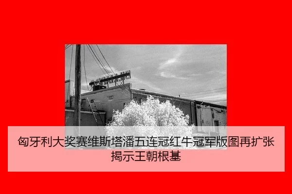 xiong-ya-li-da-jiang-sai-wei-si-ta-pan-wu-lian-guan-hong-niu-guan-jun-ban-tu-zai-kuo-zhang-jie-shi-wang-chao-gen-ji-3-132.jpg